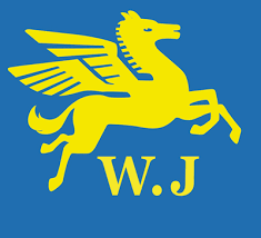 weijuntoy