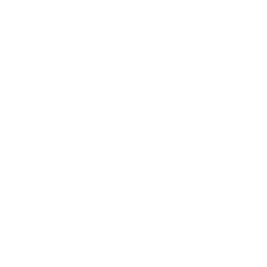 BSCi.webp