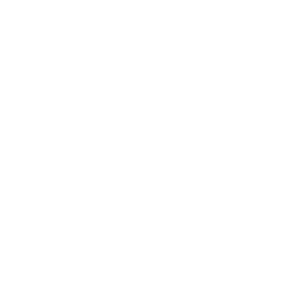 sgs.webp